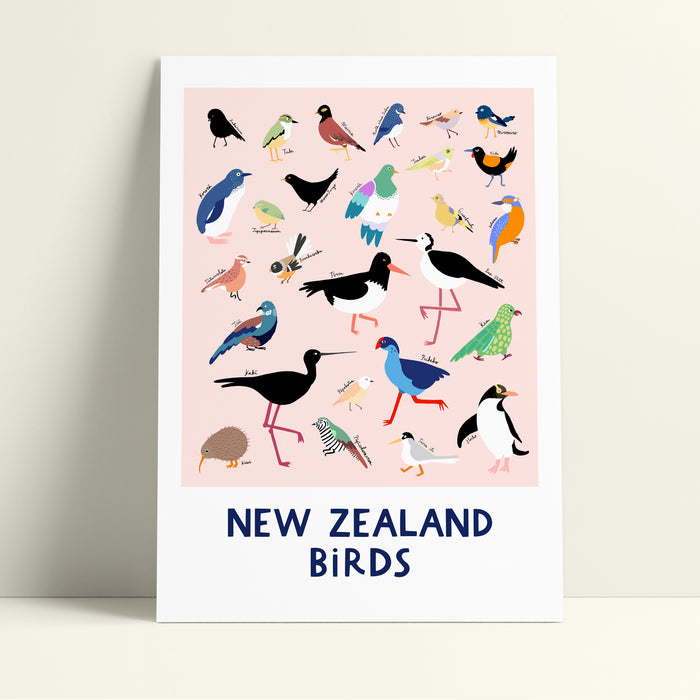 New Zealand Birds