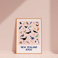 New Zealand Birds