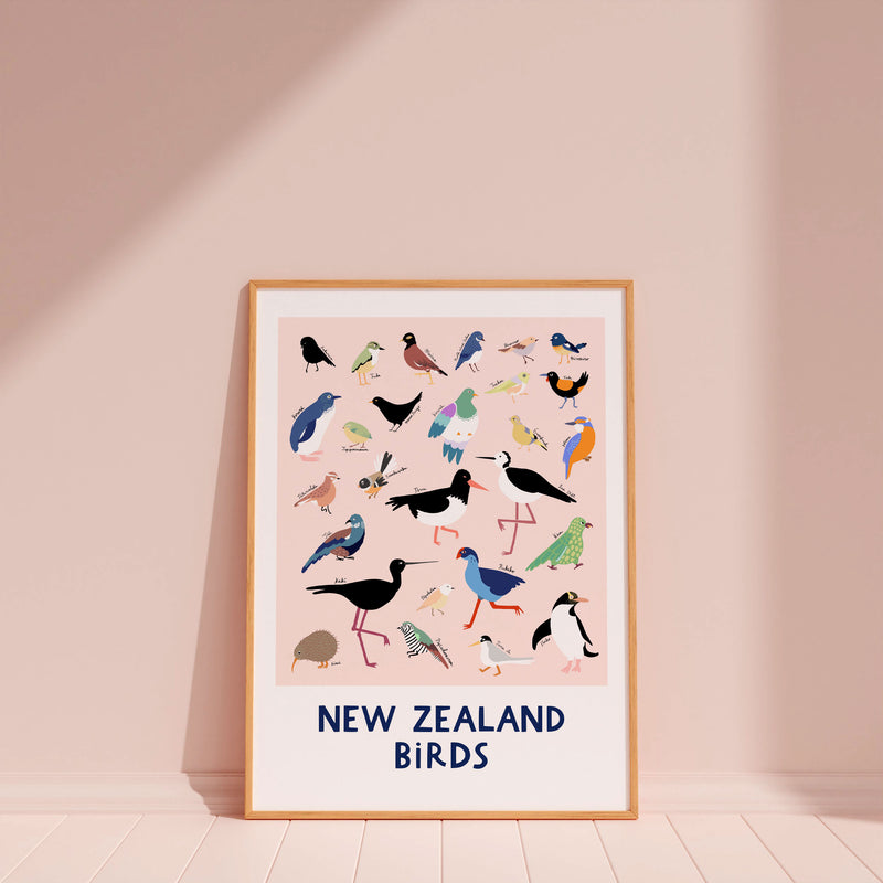 New Zealand Birds