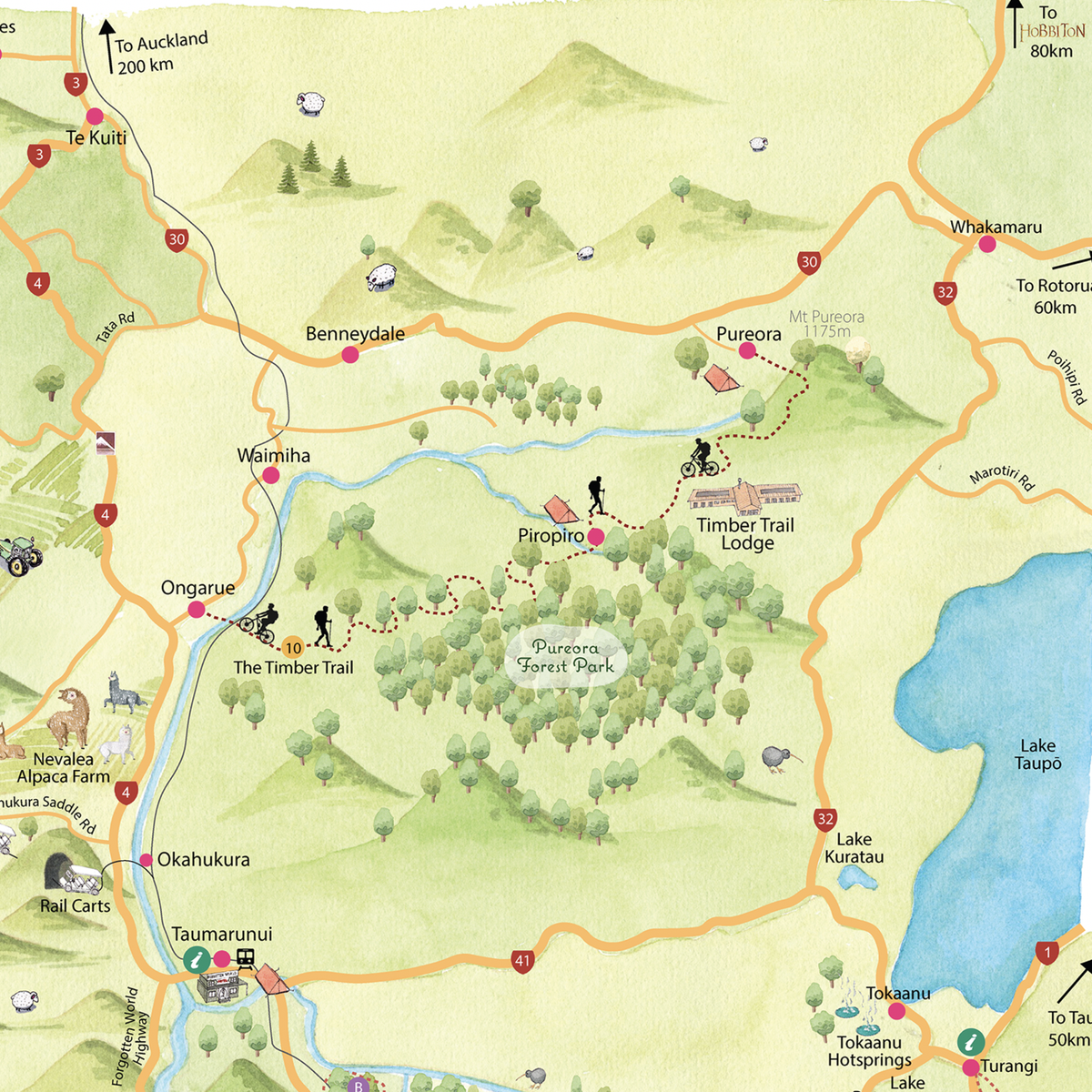 Close up Hand-drawn watercolour map of the Ruapehu region, New Zealand. Shows all the walking tracks, points of interest, roads, and trails across the area. Created as part of a tourist flyer for Ruapehu Council. Detailed and colourful illustration with a love for watercolours, capturing the beauty of the landscape where we used to live.
