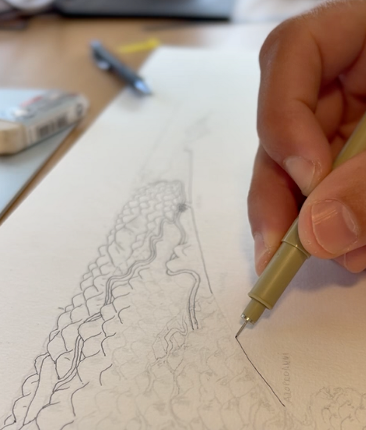 Hand-drawn  Hawke's Bay Map drawing process. Making lines with pen after pencil sketches.