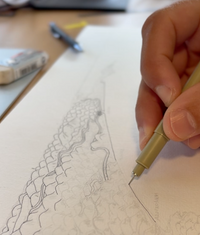 Hand-drawn  Hawke's Bay Map drawing process. Making lines with pen after pencil sketches.