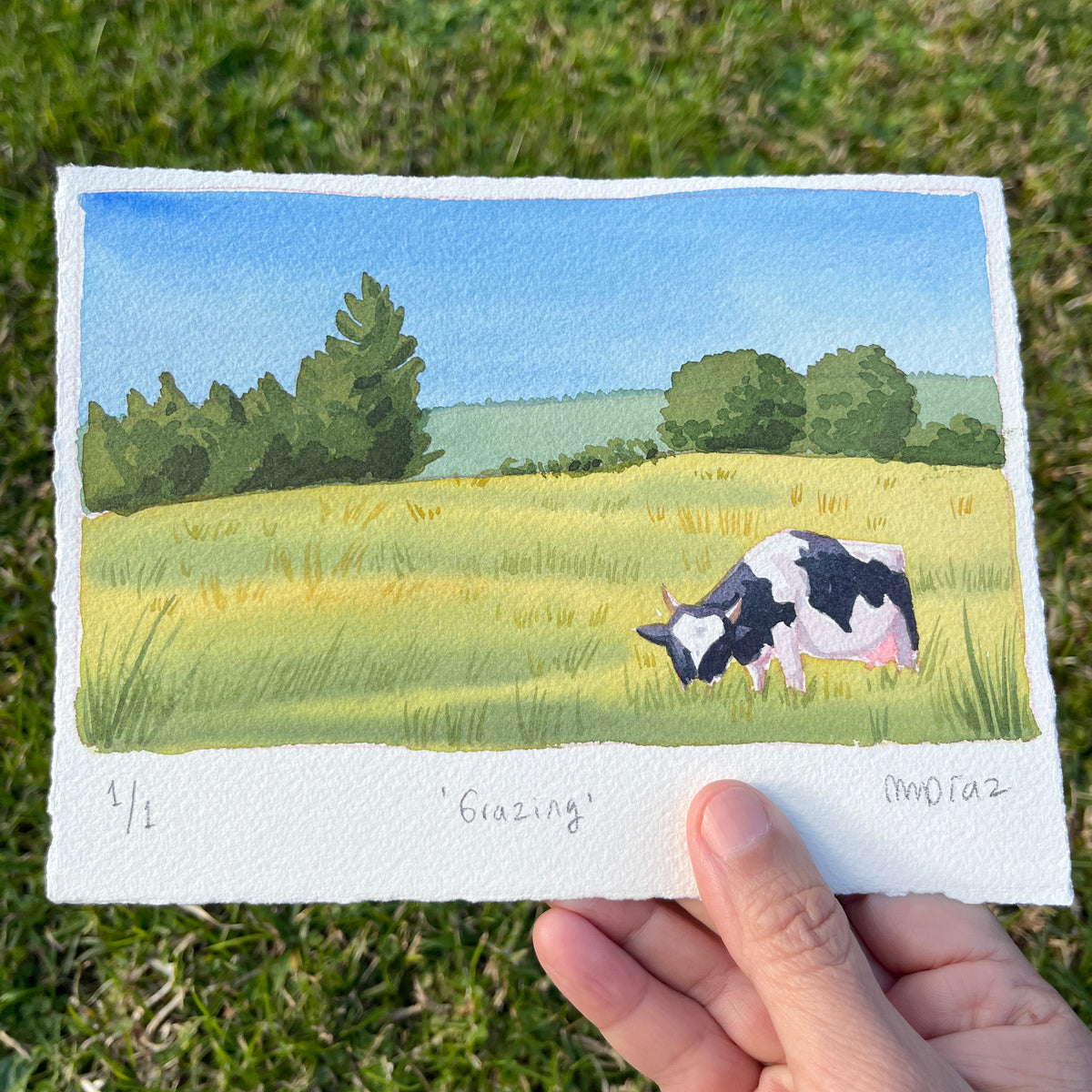 ORIGINAL Grazing