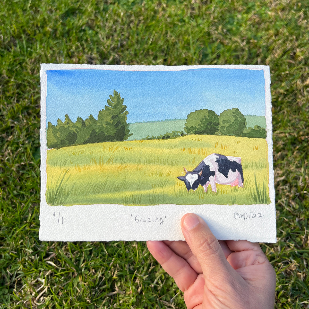 ORIGINAL Grazing