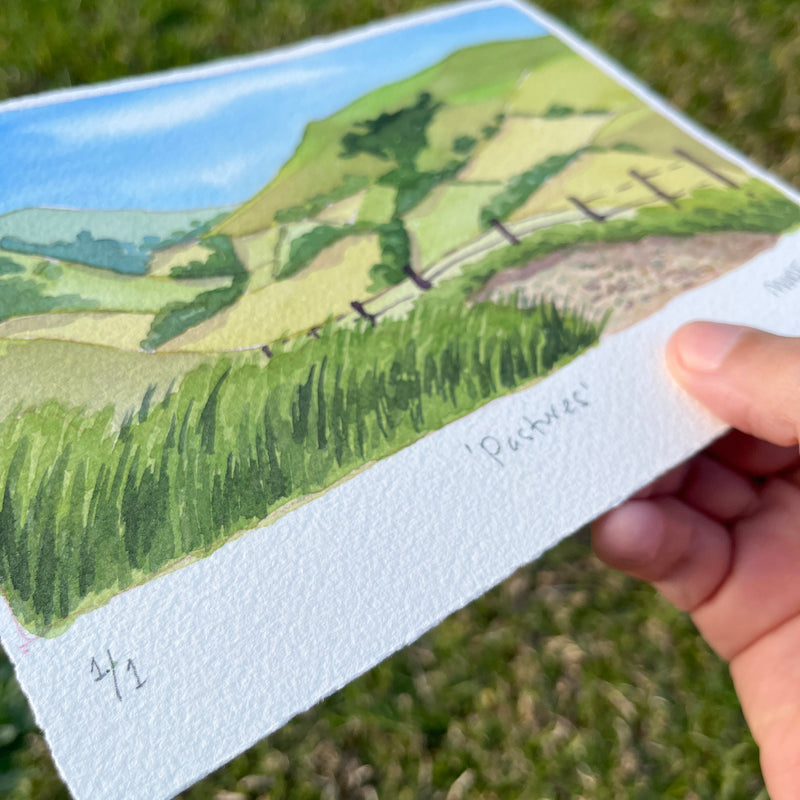 ORIGINAL Pastures