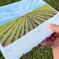 ORIGINAL Crops