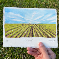 ORIGINAL Crops