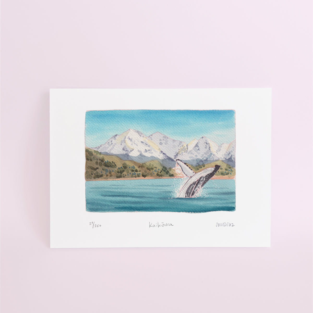 Kaikoura Watercolour art print