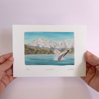 Kaikoura Watercolour art print