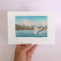 Kaikoura Watercolour art print