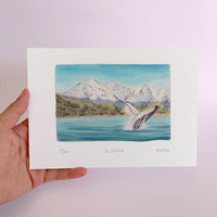 Kaikoura Watercolour art print