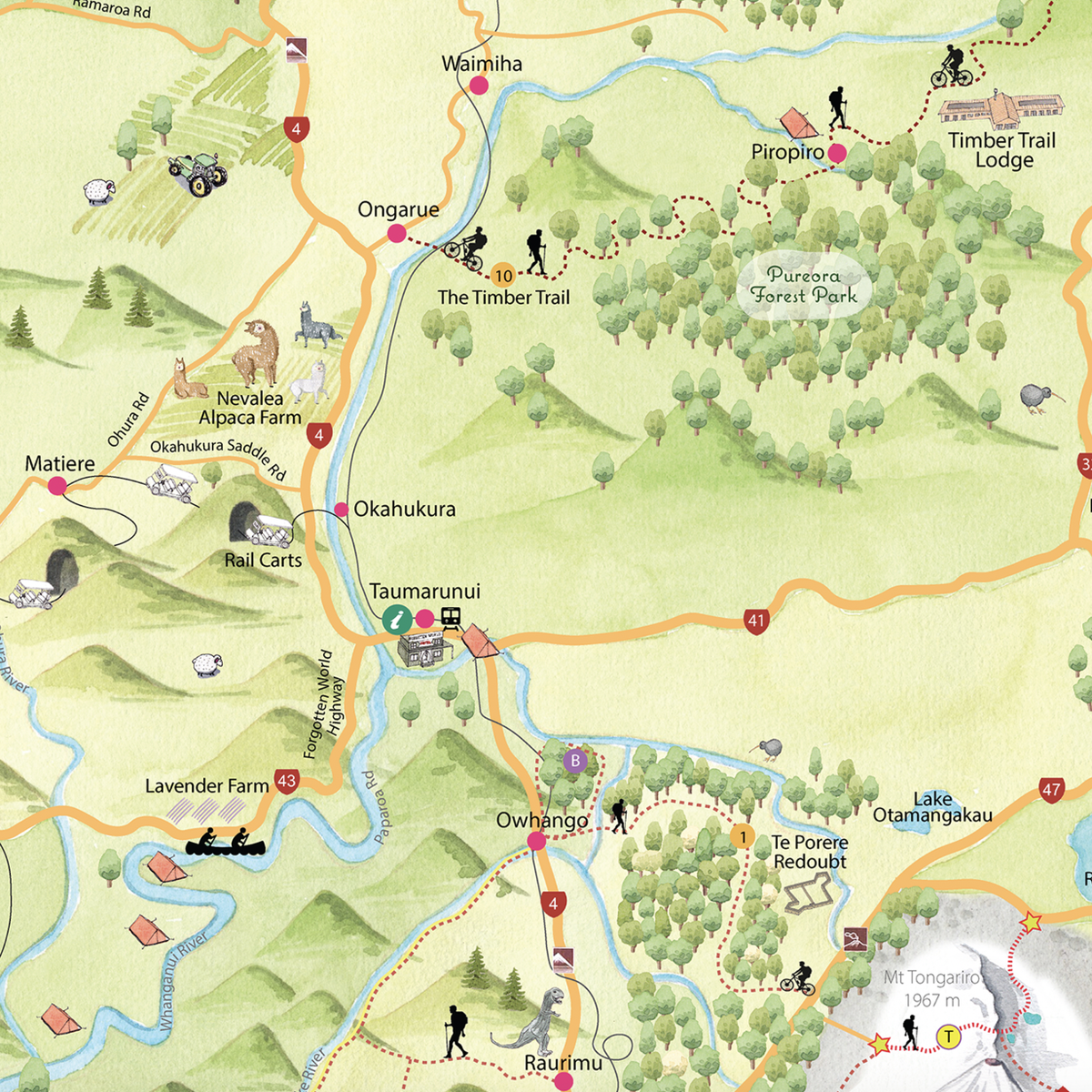 Close up Hand-drawn watercolour map of the Ruapehu region, New Zealand. Shows all the walking tracks, points of interest, roads, and trails across the area. Created as part of a tourist flyer for Ruapehu Council. Detailed and colourful illustration with a love for watercolours, capturing the beauty of the landscape where we used to live.