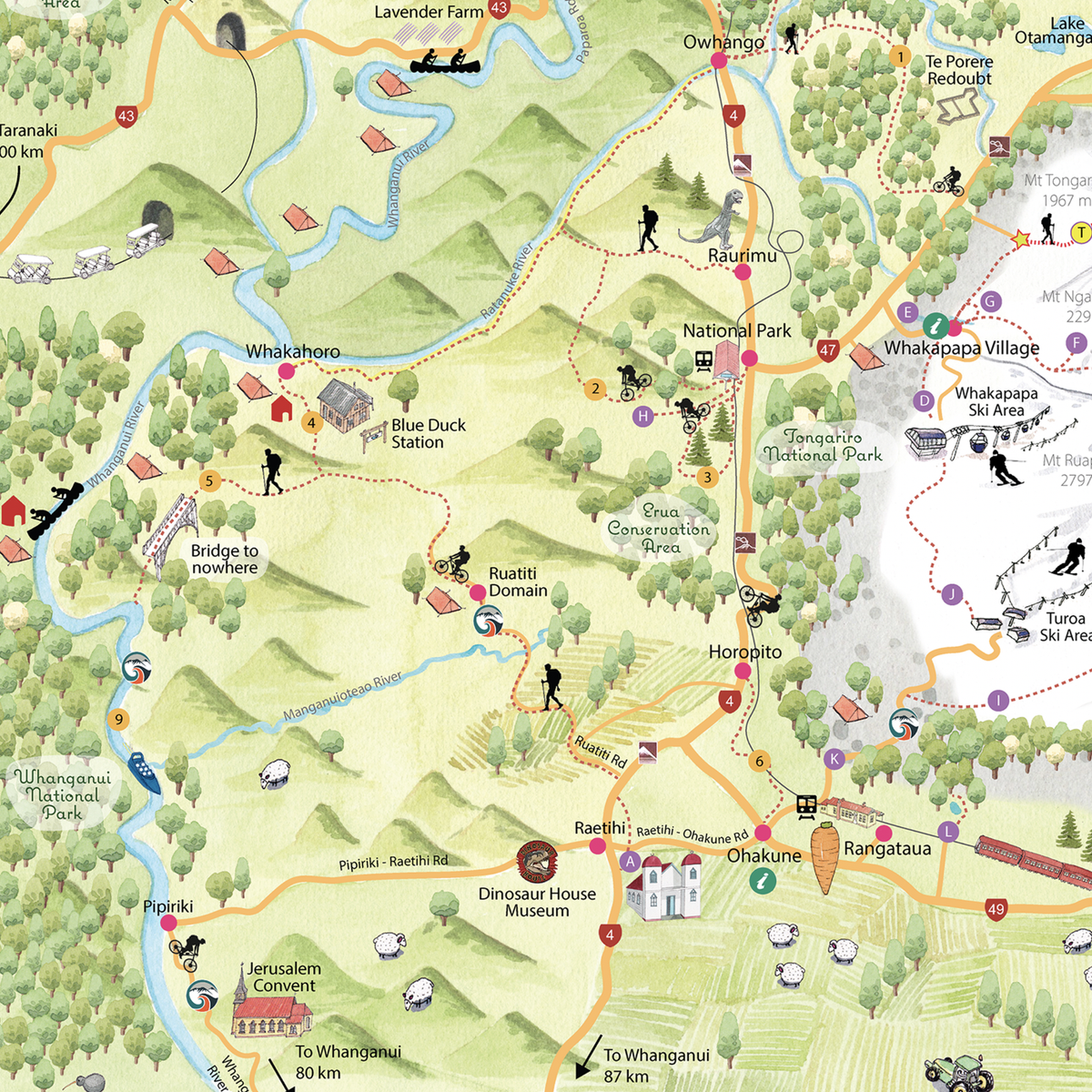Close up Hand-drawn watercolour map of the Ruapehu region, New Zealand. Shows all the walking tracks, points of interest, roads, and trails across the area. Created as part of a tourist flyer for Ruapehu Council. Detailed and colourful illustration with a love for watercolours, capturing the beauty of the landscape where we used to live.