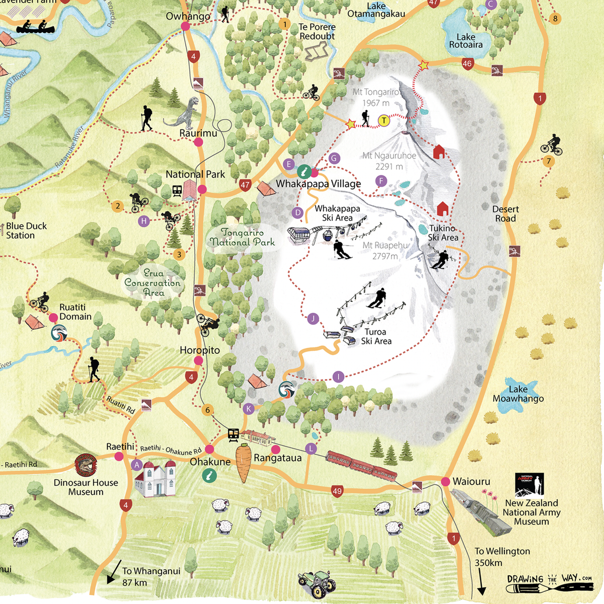 Close up Hand-drawn watercolour map of the Ruapehu region, New Zealand. Shows all the walking tracks, points of interest, roads, and trails across the area. Created as part of a tourist flyer for Ruapehu Council. Detailed and colourful illustration with a love for watercolours, capturing the beauty of the landscape where we used to live.