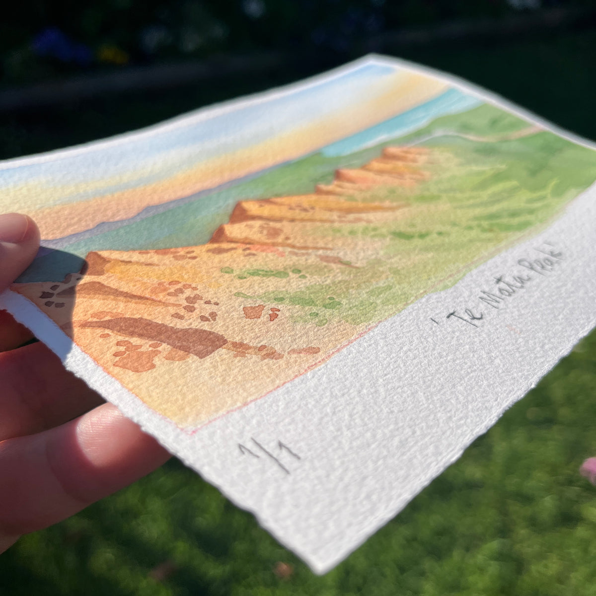 ORIGINAL Te Mata Peak Hawke's Bay